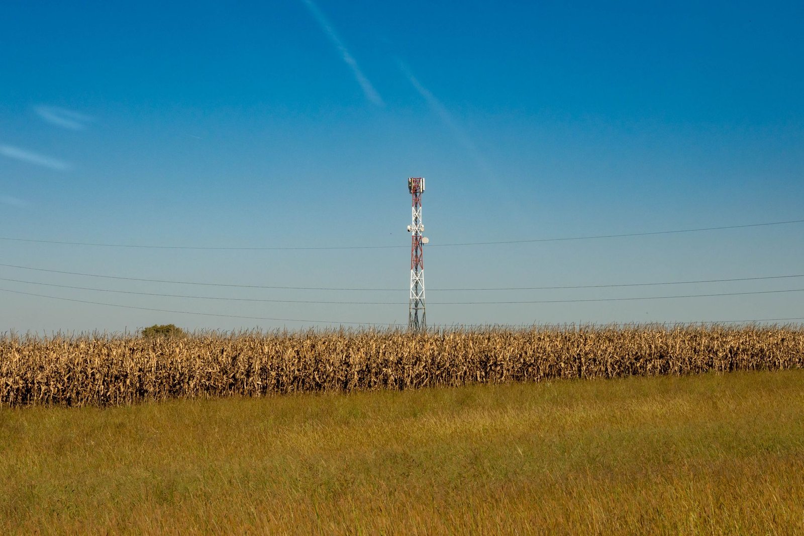 Torre de telefonia movel em meio a um campo aberto, sob ceu azul