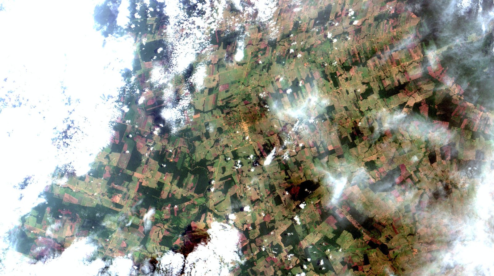 Imagem de satélite mostra pequenos remanescentes de floresta cercados por áreas abertas no distrito de Rio Pardo, em Porto Velho