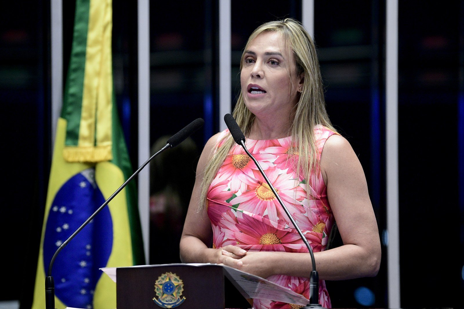 Celina Leão discursa na tribuna do Plenário do Senado, em foto de arquivo de 2022