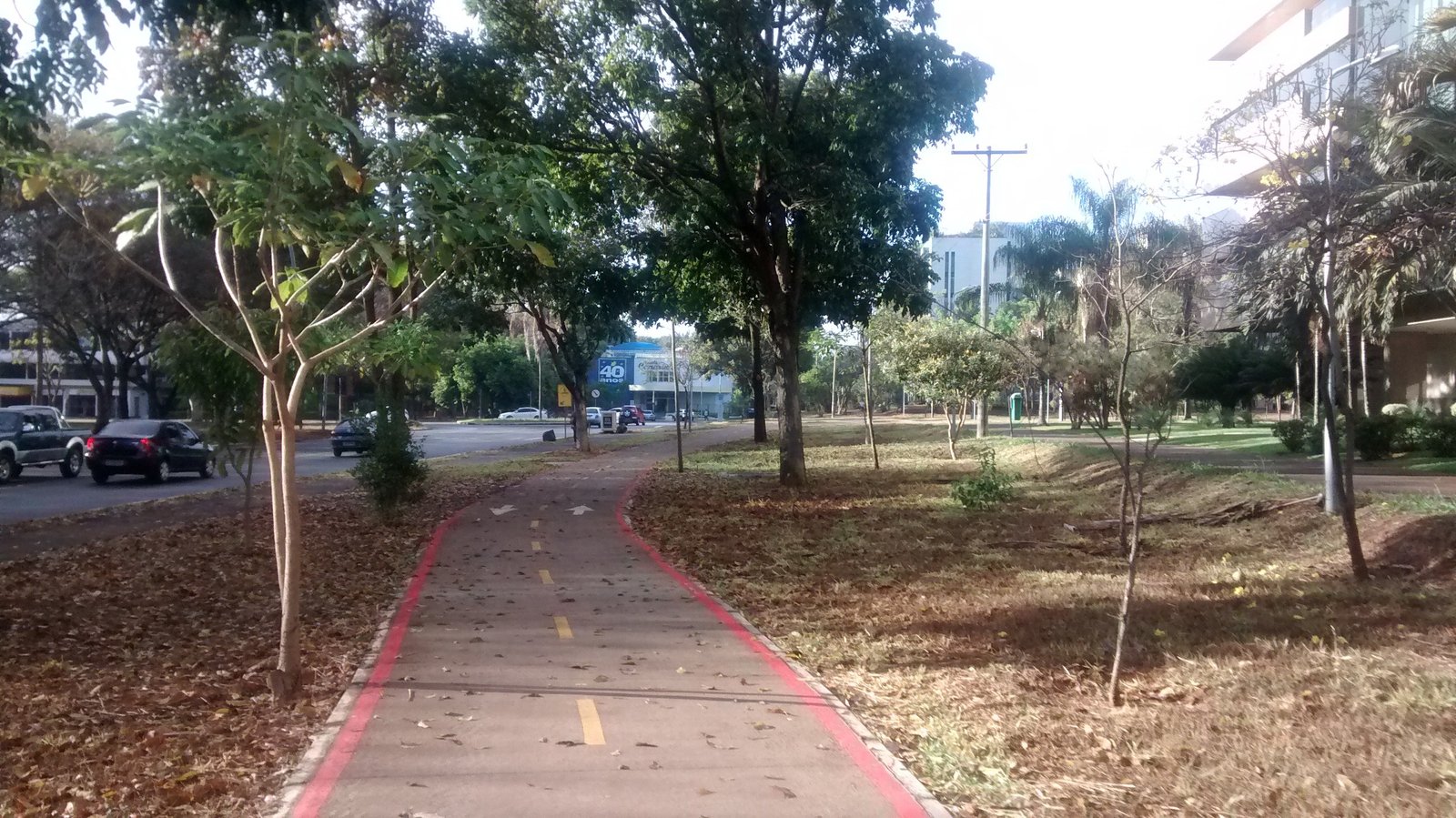 Ciclovia pintada de vermelho entre árvores e uma pista de carros na Asa Norte, em Brasília, em foto de arquivo de 2014