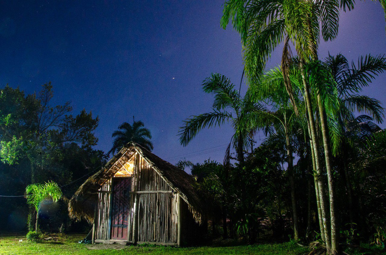 Casa tradicional de palha em aldeia guarani cercada por palmeiras ao anoitecer