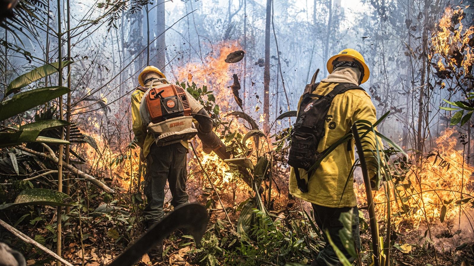Brigadistas do Prevfogo combatem fogo em vegetação, em foto de arquivo de ação em Rondônia