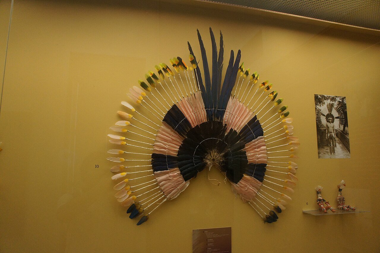 Cocar de penas coloridas exposto em painel de museu