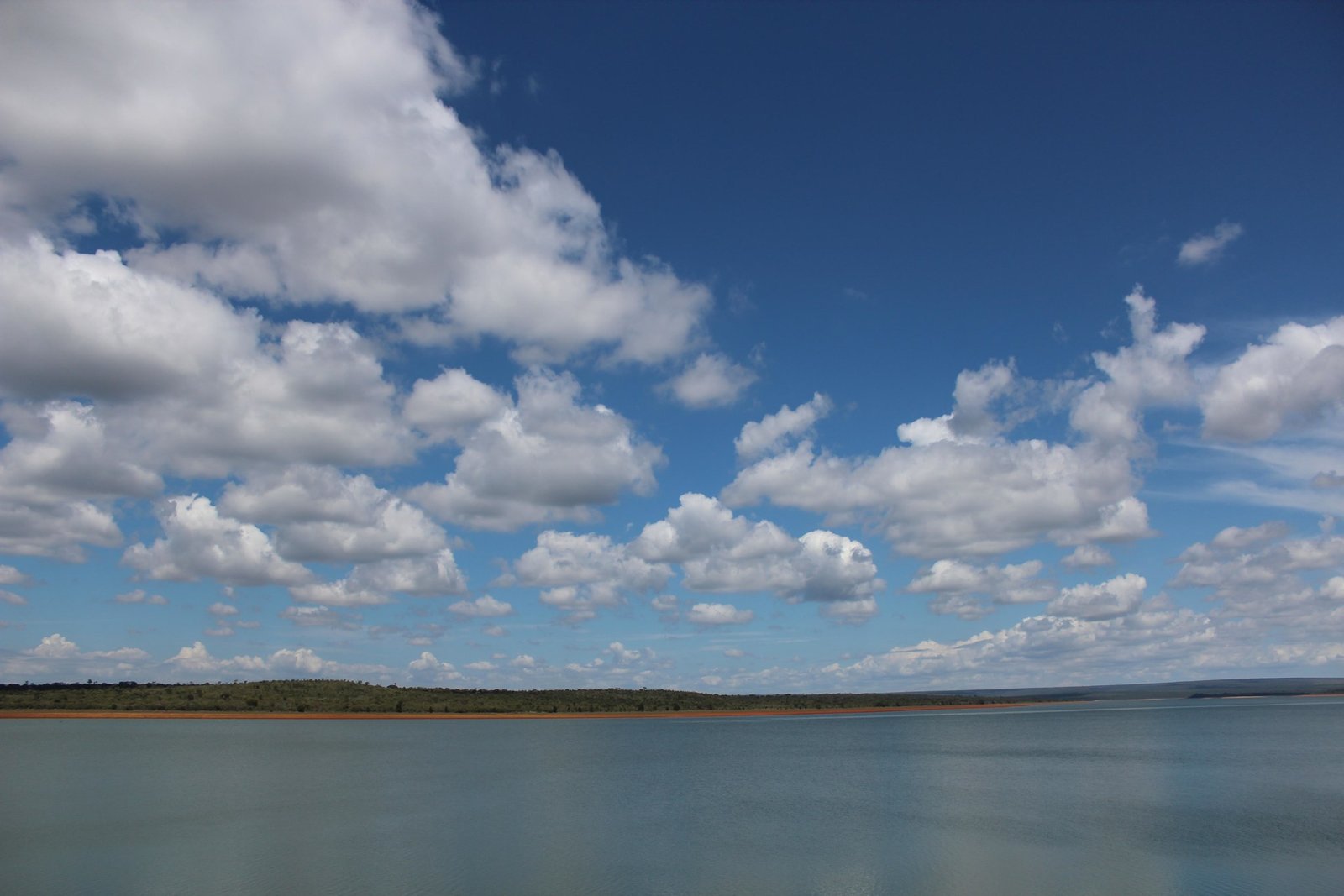 Cerrado às margens da represa de Santa Maria, no Parque Nacional de Brasília, sob céu azul com nuvens