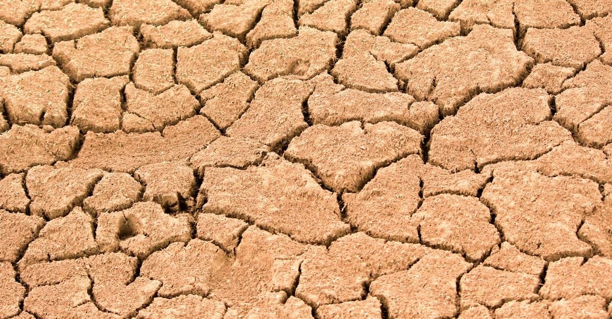 Solo rachado por seca prolongada, em close, sem vegetação