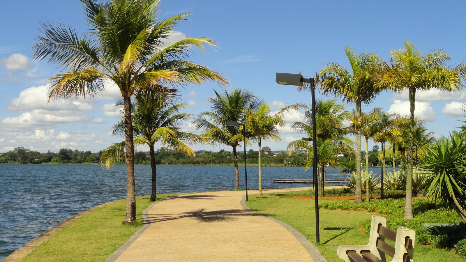 Calçada arborizada com coqueiros e um banco às margens do Lago Paranoá, no Pontão do Lago Sul; foto de arquivo