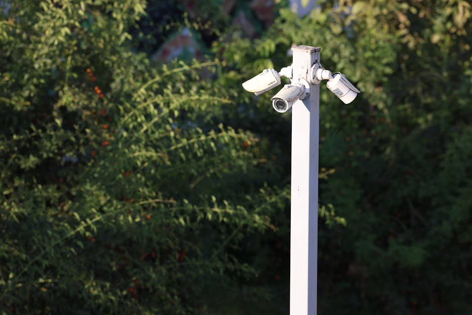 Câmeras de vigilância montadas em poste branco entre árvores