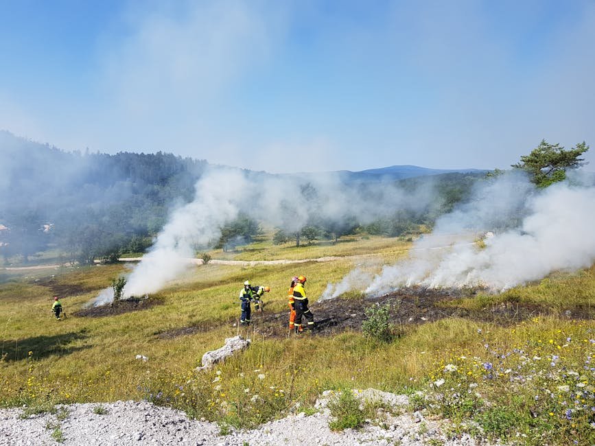 Equipe de bombeiros combatendo incêndio em área florestal