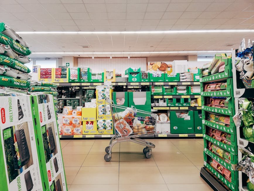 Carrinho de supermercado com produtos alimentícios