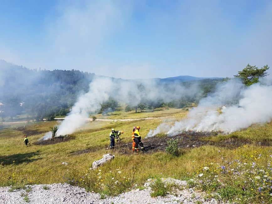 Governo libera R$ 337,5 milhoes contra incendios e desmatamento