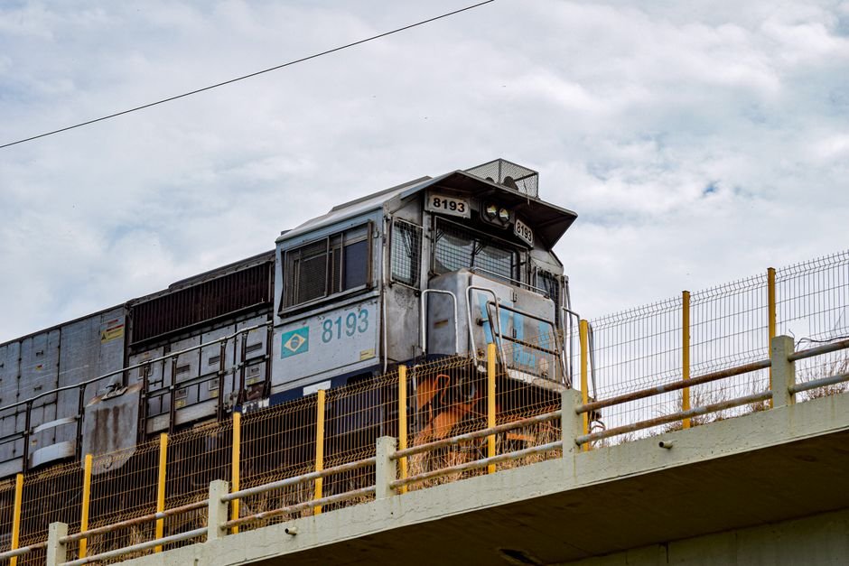 STF libera a Ferrograo e ferrovia ligara Mato Grosso ao Para