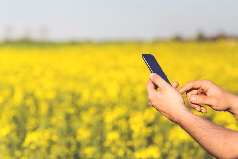 Programa leva telefonia móvel a áreas rurais e amplia inclusão