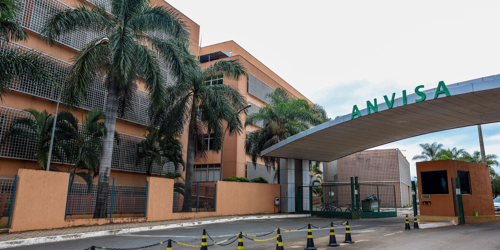 Anvisa cria grupo de trabalho para uso seguro de canetas emagrecedoras no país
