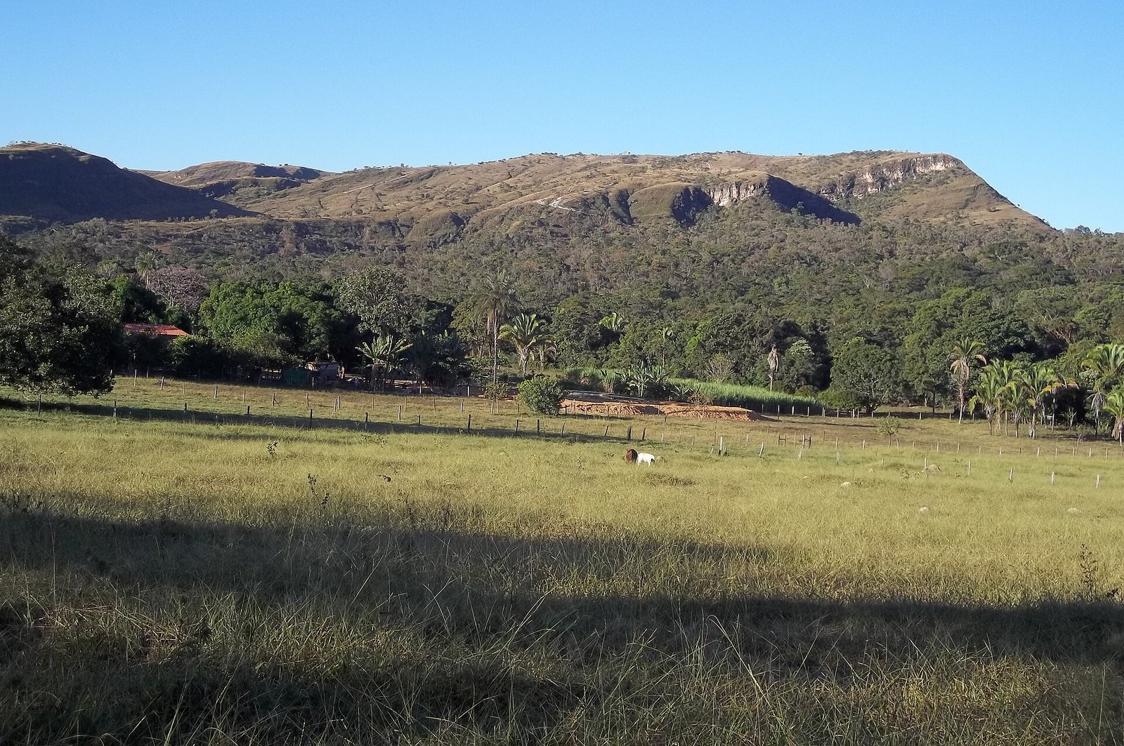 Área rural da Fercal, no Distrito Federal, com pasto e serra ao fundo