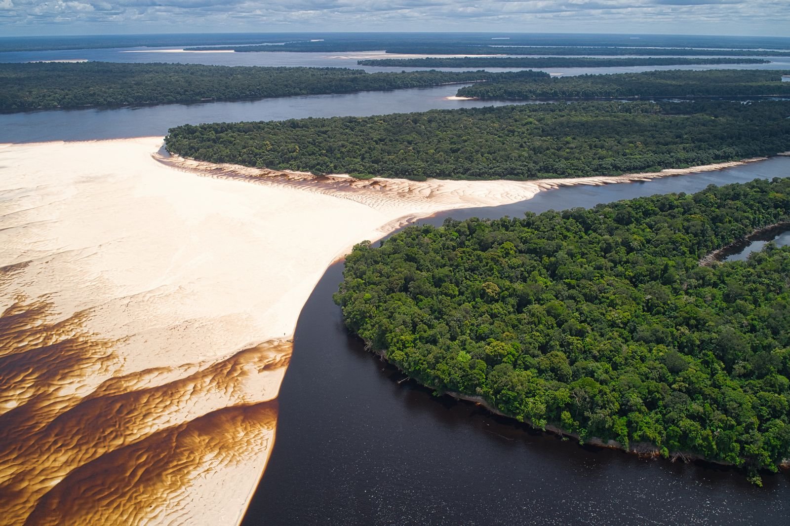 Vista aérea de rio escuro, banco de areia e floresta em Barcelos, no Amazonas