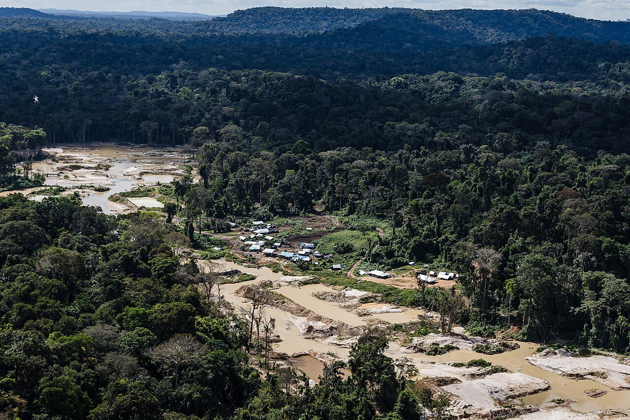 Vista aérea de área de garimpo aberta dentro de floresta em terra indígena no Pará