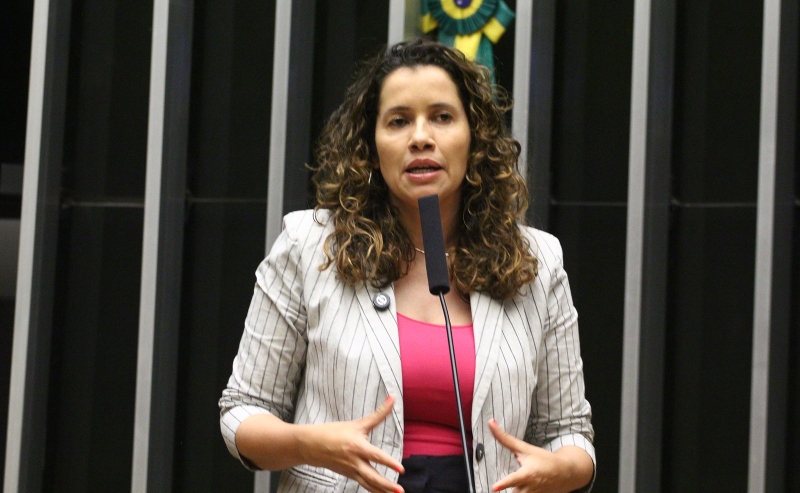 Deputada Denise Pessôa, relatora do projeto, discursa na Câmara