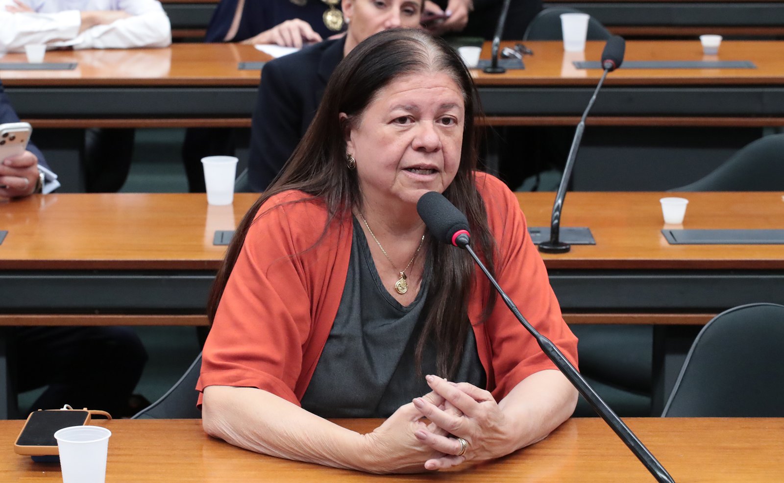 Deputada Laura Carneiro, relatora do projeto, fala em comissão da Câmara