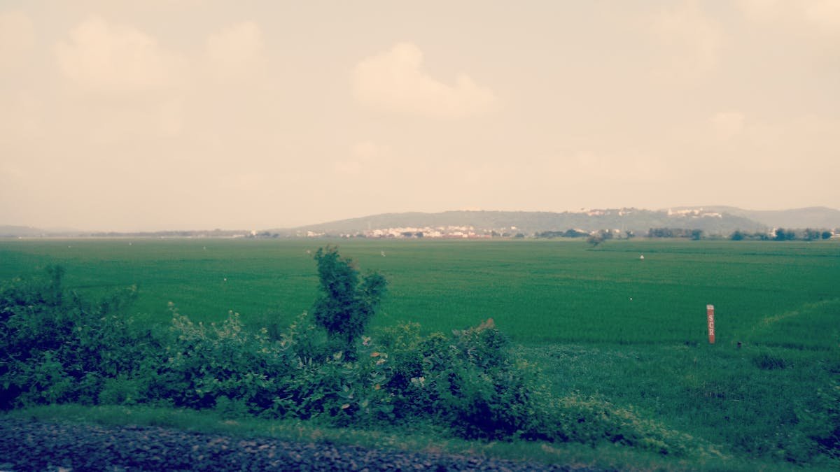 Policial penal preso por fraude em concurso público no DF