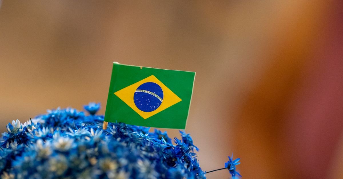 Pequena bandeira do Brasil fincada em arranjo de flores azuis