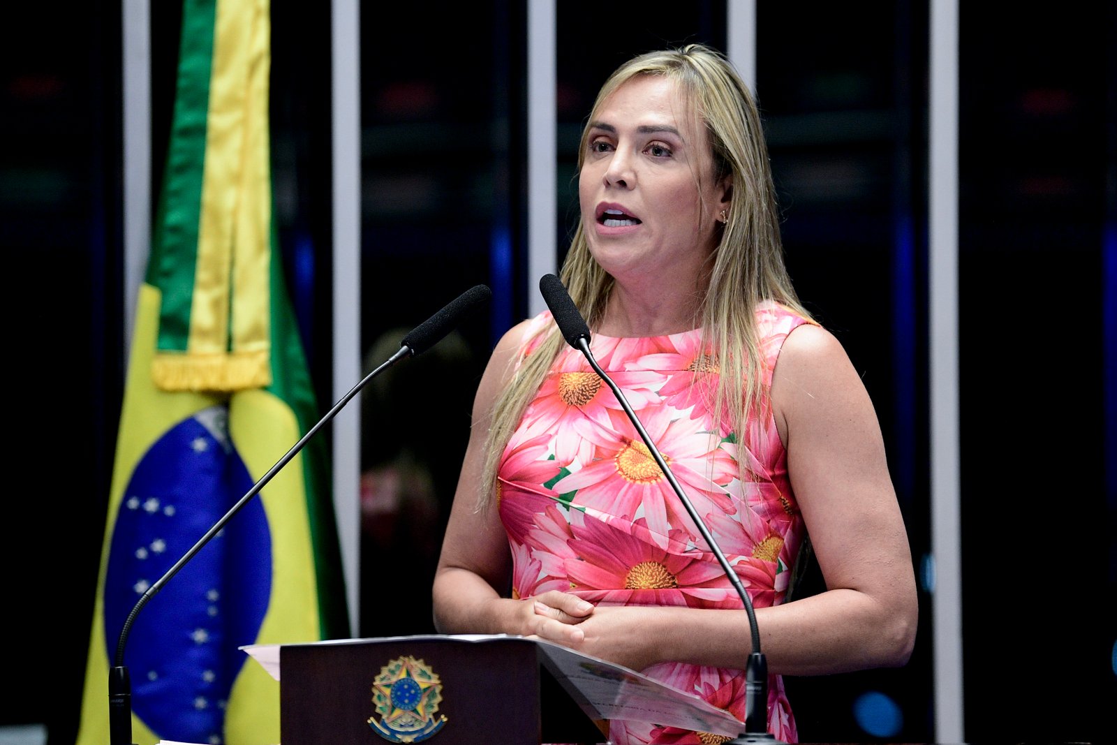 Celina Leão discursa em tribuna, com microfones à frente e a bandeira do Brasil ao fundo