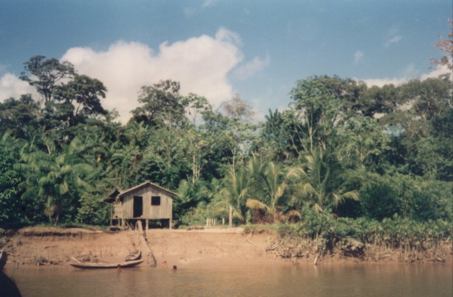 Casa de madeira sobre palafitas à beira de rio na Amazônia, cercada por mata