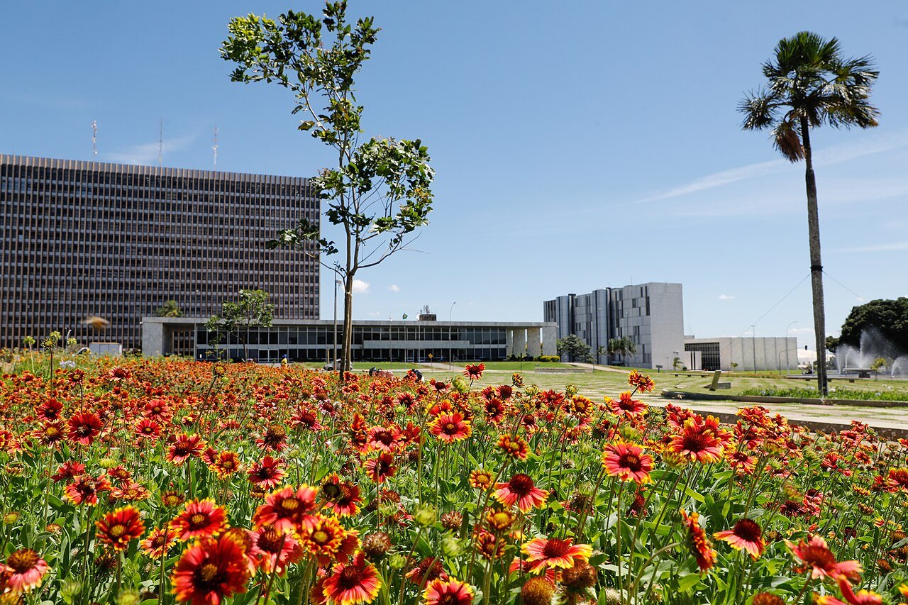 Palácio do Buriti e prédios do Complexo Administrativo do DF, vistos de um canteiro de flores na Praça do Buriti