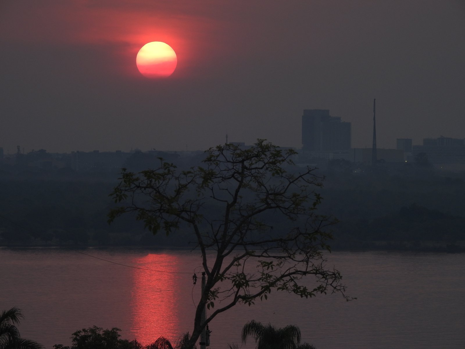 Pôr do sol sobre o Lago Paranoá, em Brasília, com a silhueta de uma árvore em primeiro plano