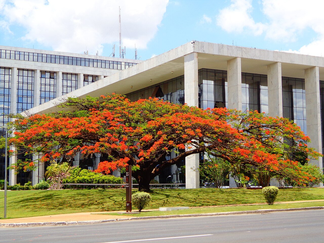 Fachada do Palácio da Justiça do TJDFT em Brasília com flamboyant florido em primeiro plano
