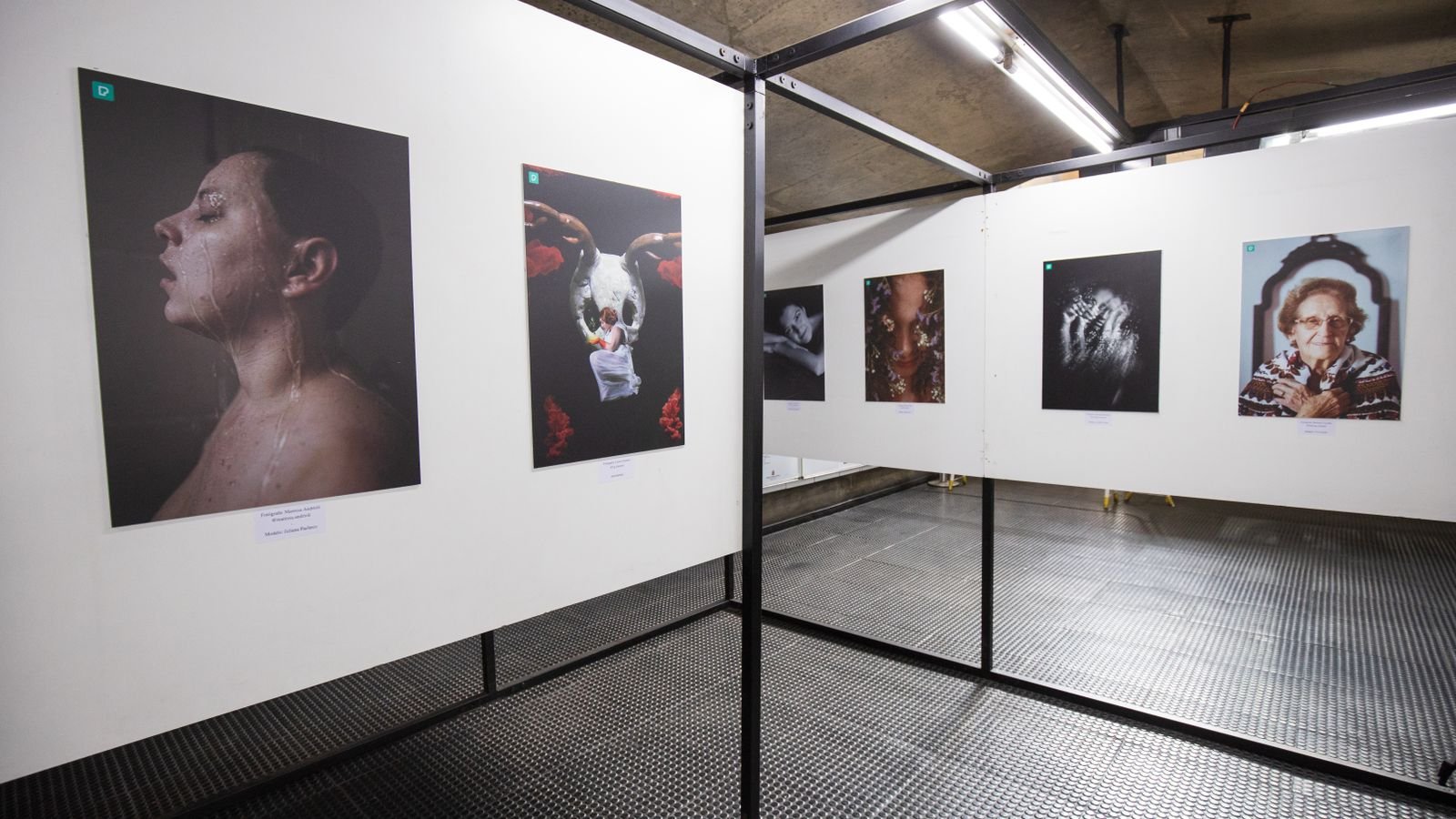 Fotografias em exibição em paredes de galeria de arte