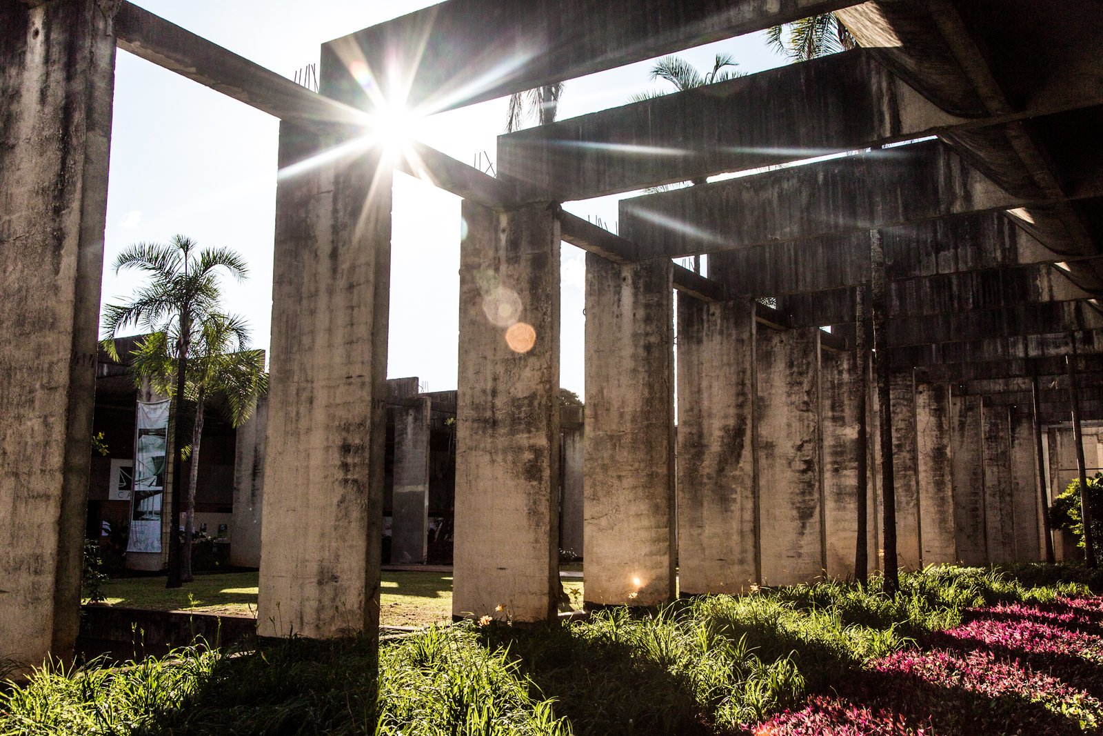 Colunas de concreto do Instituto Central de Ciências da UnB ao entardecer, com o sol entre os pilares e jardim em primeiro plano